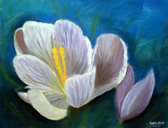 Gemälde: Krokus