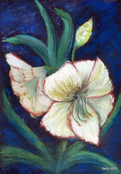 Gemälde: Amaryllis